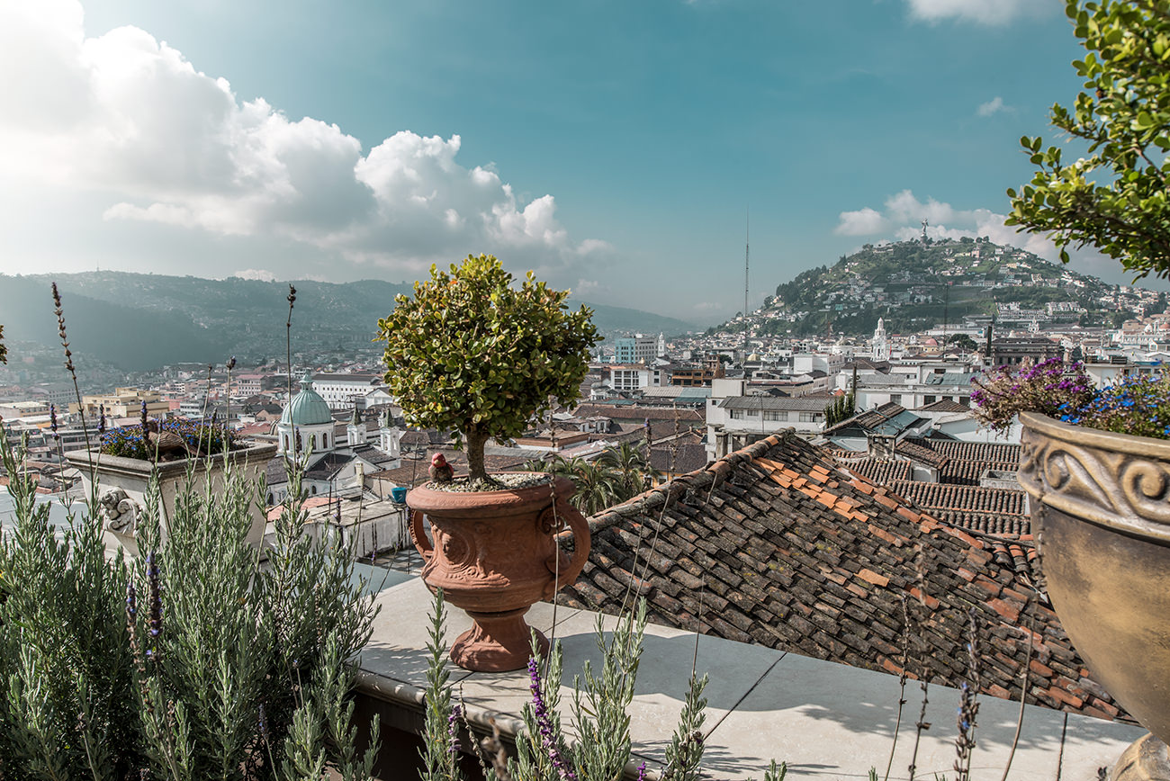 Villa Colonna's Rooftop terrace city view